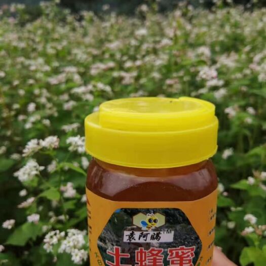眉县 秦岭深山土蜂蜜