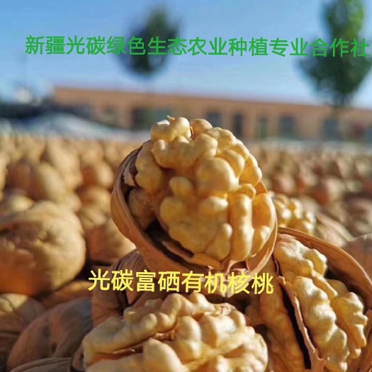 潍坊有机核桃 26~30mm 去皮 箱装