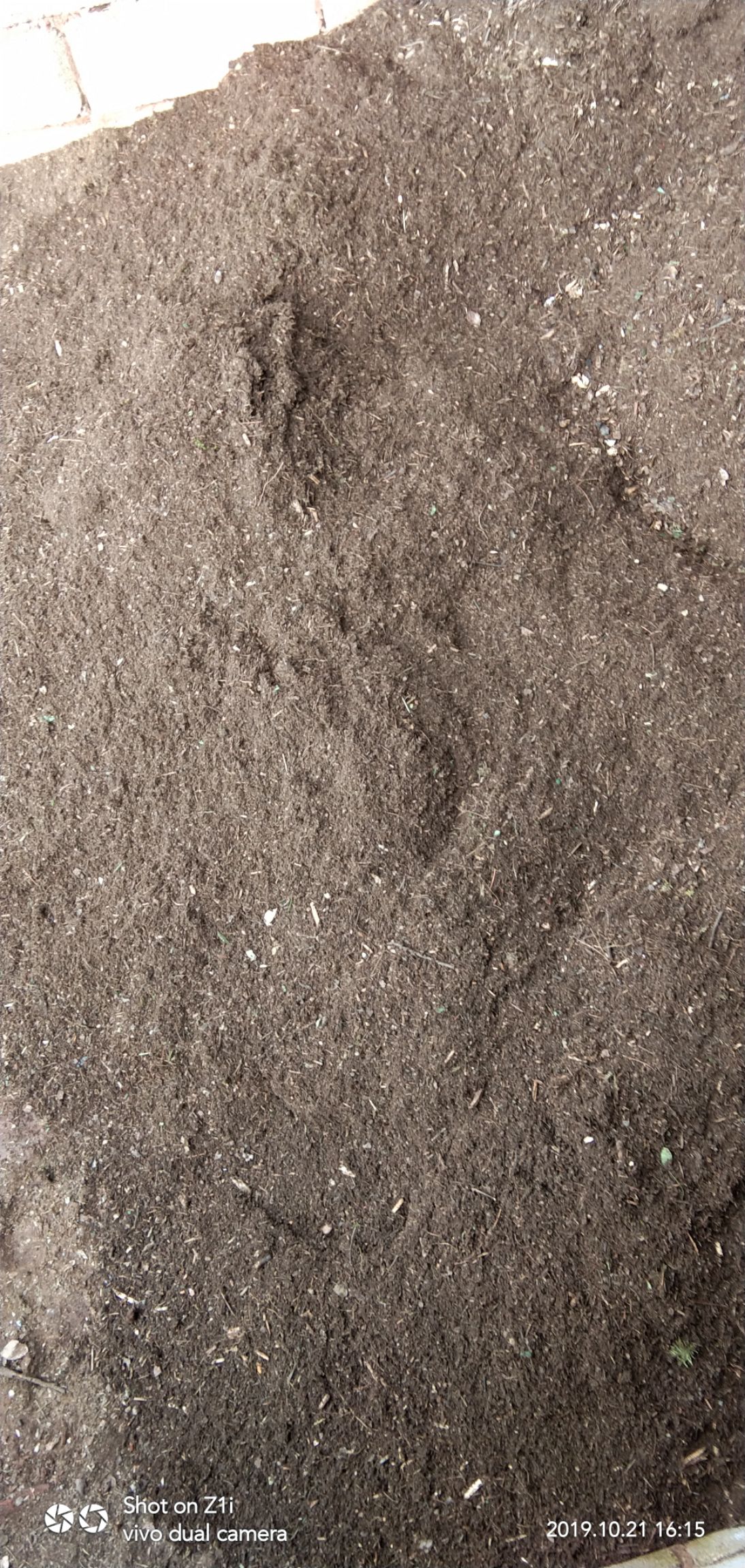 育苗基质 腐殖土