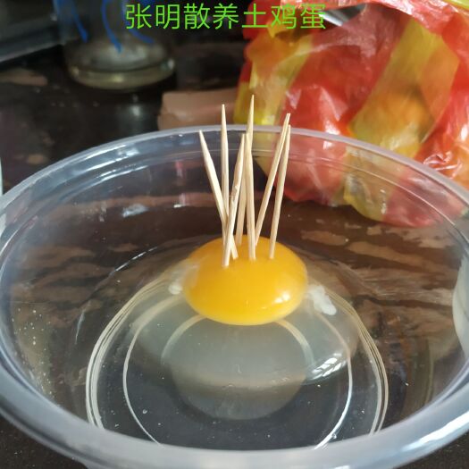 郑州 童年味道优质散养土鸡蛋，有高逼格要求的联系，口感一流无腥味