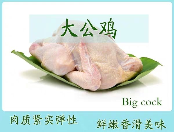宾县笨鸡 假一赔十