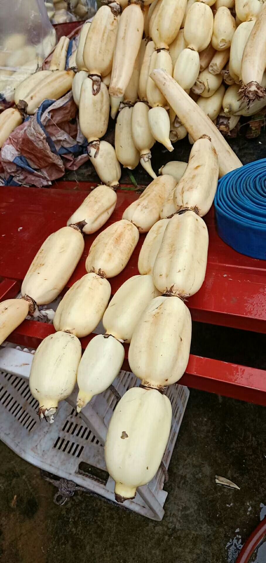  万州莲藕，品质好量的。