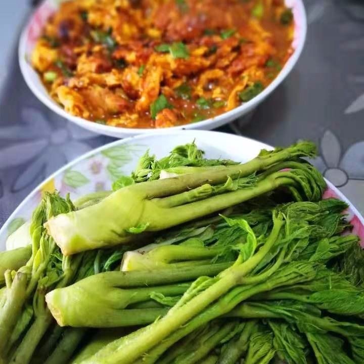  东北山野菜刺嫩芽刺老芽 新鲜野生刺老芽绿色健康袋装保鲜包邮