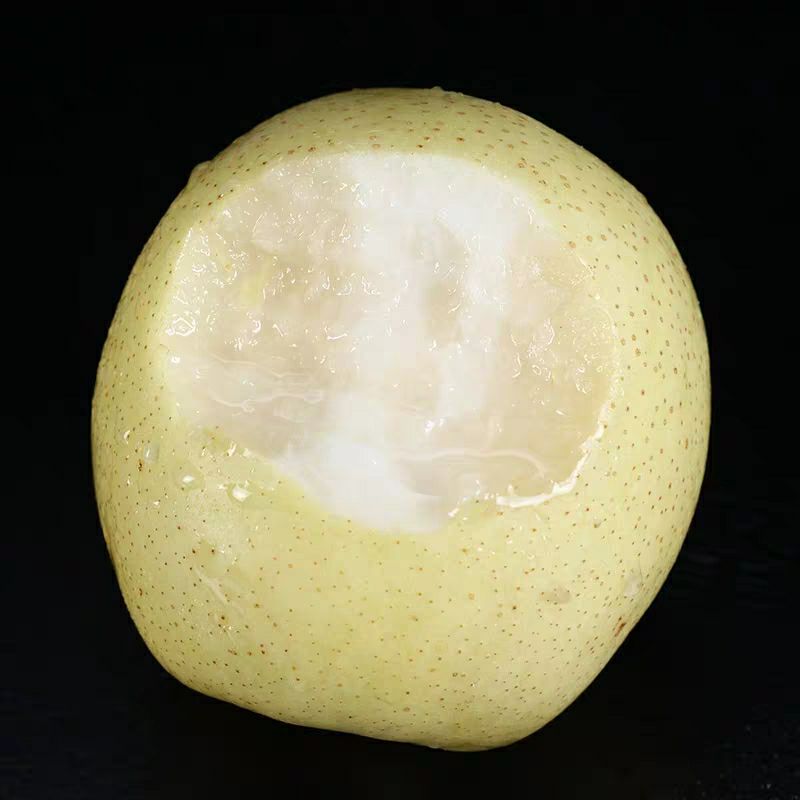  皇冠梨苗 清脆爽口 现挖现发 包品种包成活 死苗免费补发