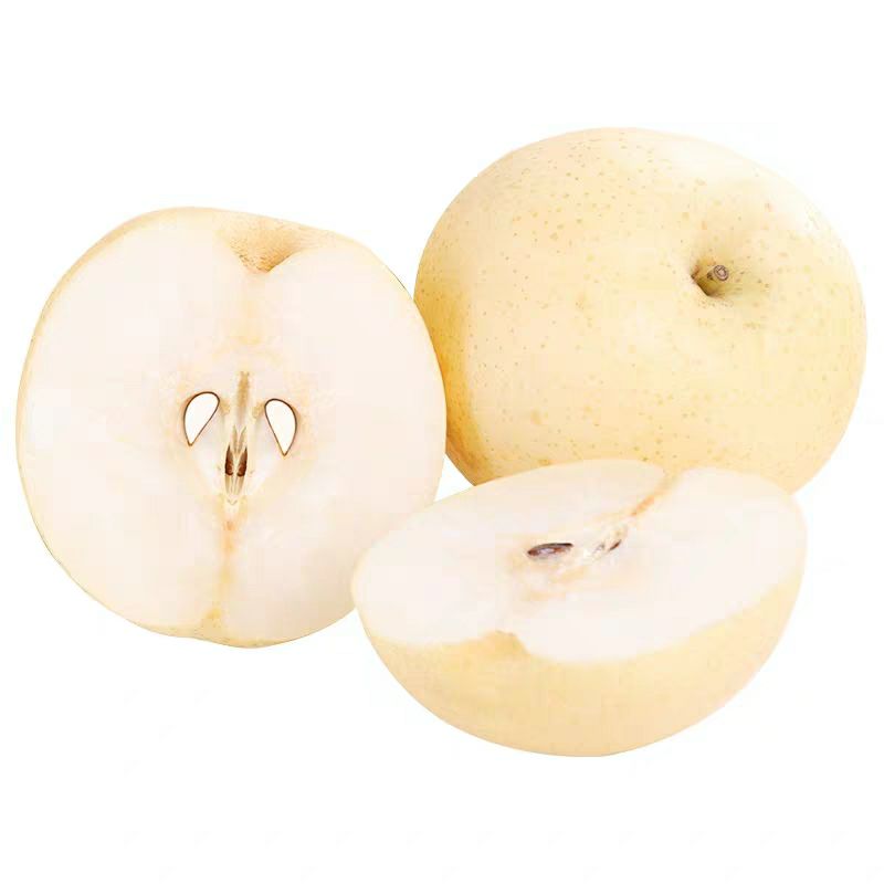  皇冠梨苗 清脆爽口 现挖现发 包品种包成活 死苗免费补发