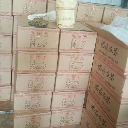 福鼎市月光白 好茶厂家直销自家茶山自家茶厂