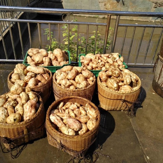浏阳市 浏阳大山的粉皮，公公婆婆的手艺，未来要失传了，且吃且珍惜！