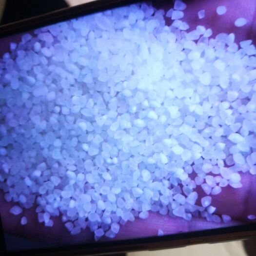 绥棱县长粒香大米 二等品 一季稻 粳米