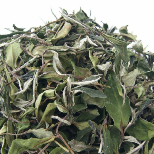 福鼎市 福鼎白茶白牡丹散茶
