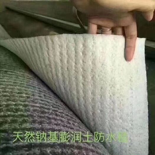 德州 防渗膜  天然钠基膨润土防水毯  厂家直销规格齐全
