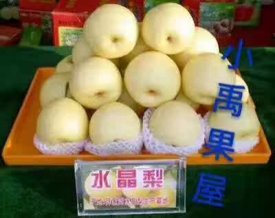 礼泉县 大量梨子出售