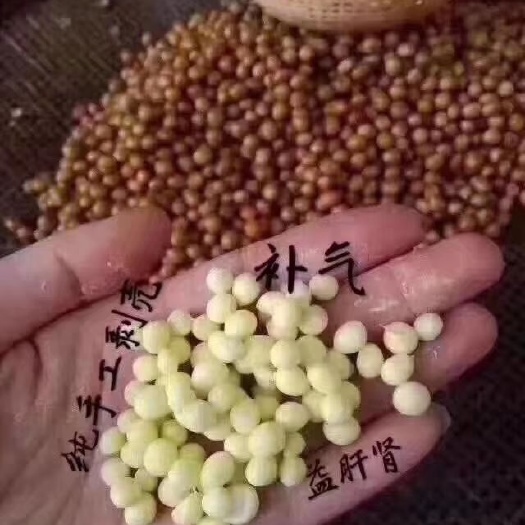 饶平县 潮州东凤芡实