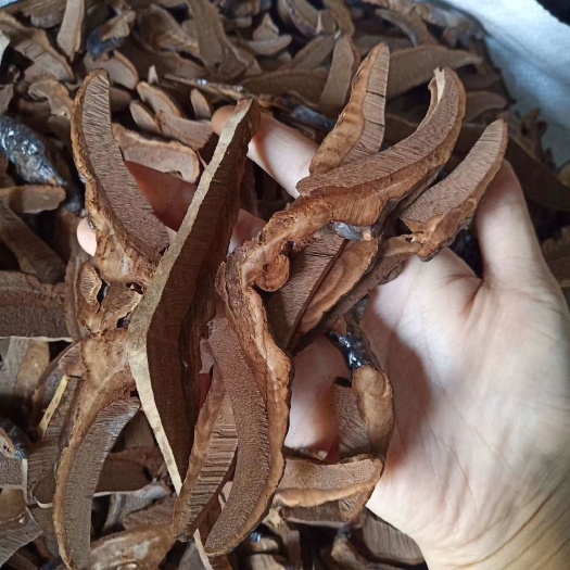 安国市黑灵芝片500克包邮灵芝切片干货现切灵芝片煲汤煮水批发