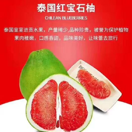 灵山县泰国红宝石柚苗