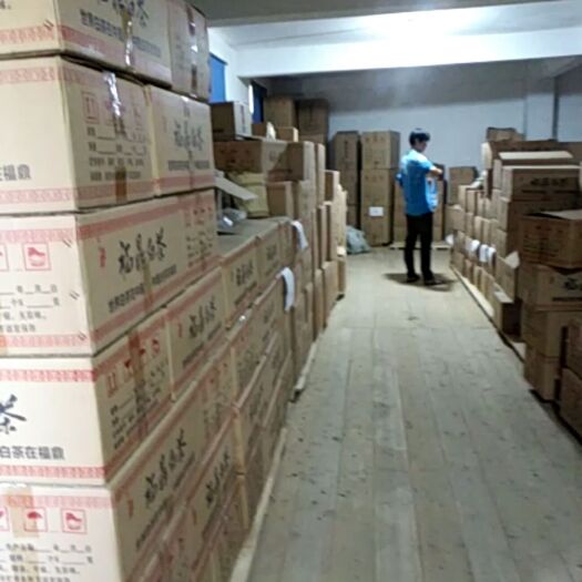 福鼎市 福鼎白茶厂家，福鼎市管阳镇高山茶产区白豪银针