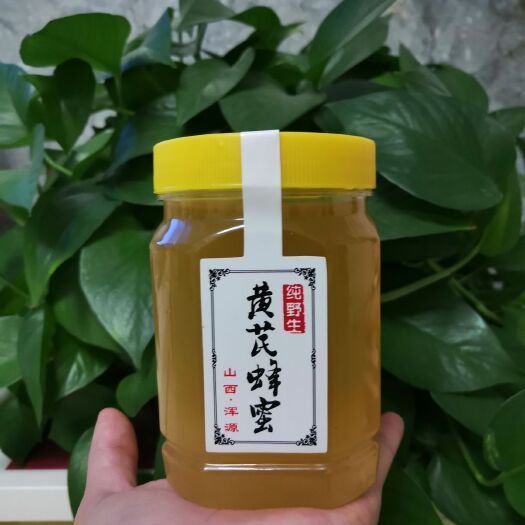 浑源县 正宗纯野生 黄芪蜂蜜