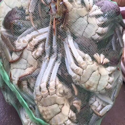 当涂县固城湖大闸蟹 个个精品，物美价廉，你我之间只有一个快递