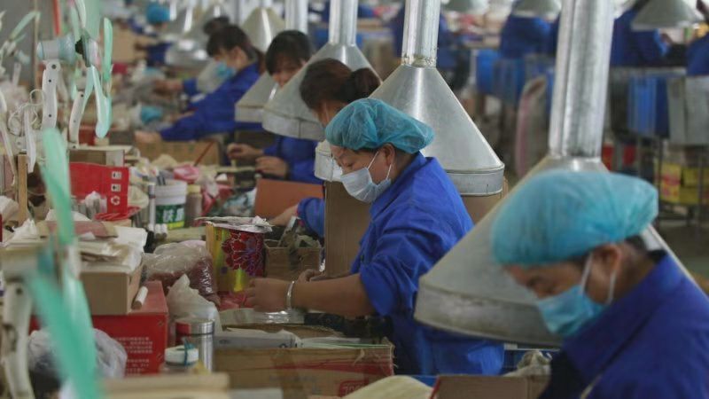 南阳艾条 源头厂家 厂家直供 专注好艾20年