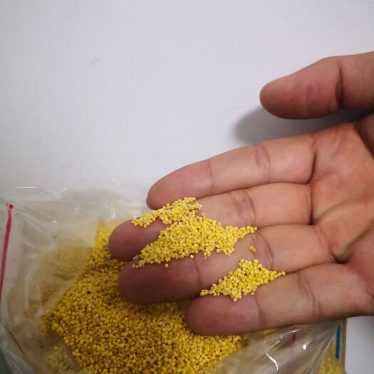 许昌 纯手工制作的沙土地有机小米量多价优