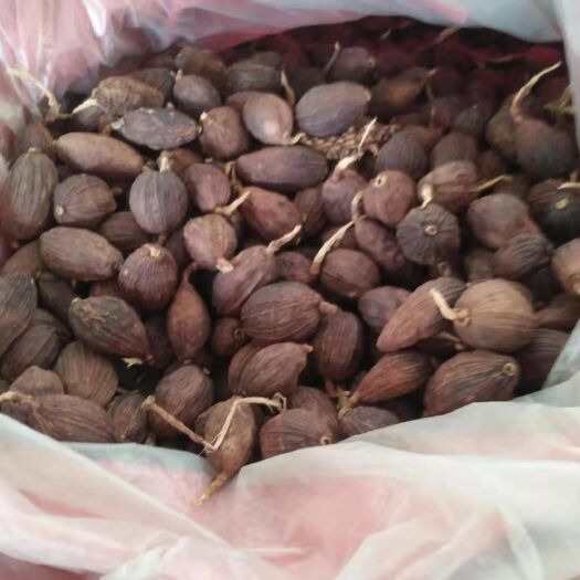 金平县 出售草果