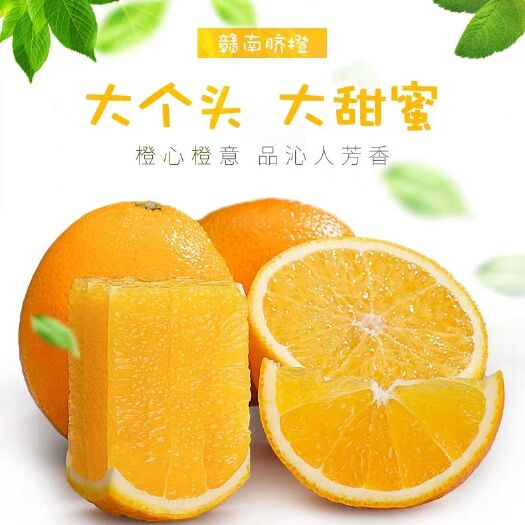 会昌县 预售正宗江西赣州赣南脐橙现摘新鲜橙子水果包邮11月6日全国