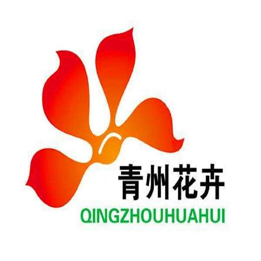 青州市 “会开花的草坪”_欧石竹 一年365天 花期300天