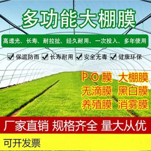 沭阳县 大棚膜黑白膜薄膜加厚农用防雨布