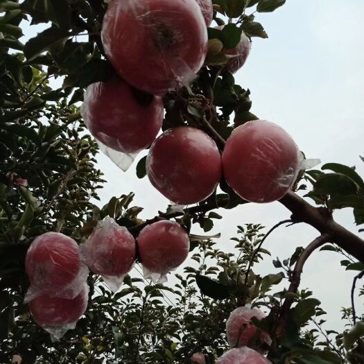 襄汾县纸箱
