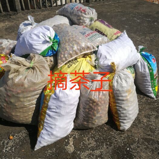 桂阳县 自产自销山茶油