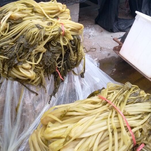 武汉腌白菜 2-3个月