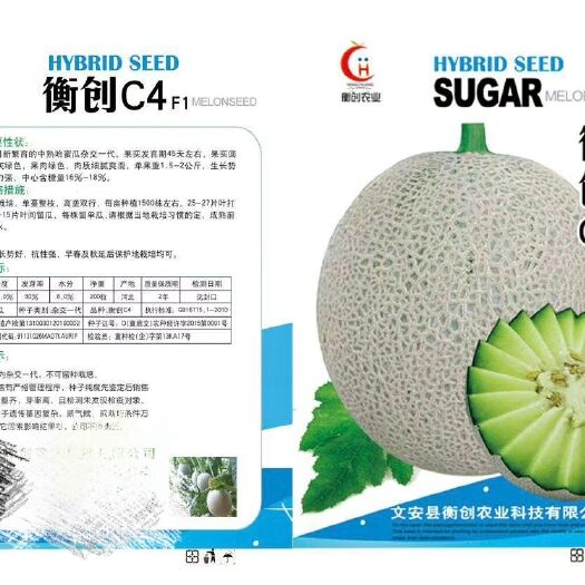 安平县厚皮甜瓜种子  衡创C4F1网纹甜瓜种子~抗病性强果肉绿色含