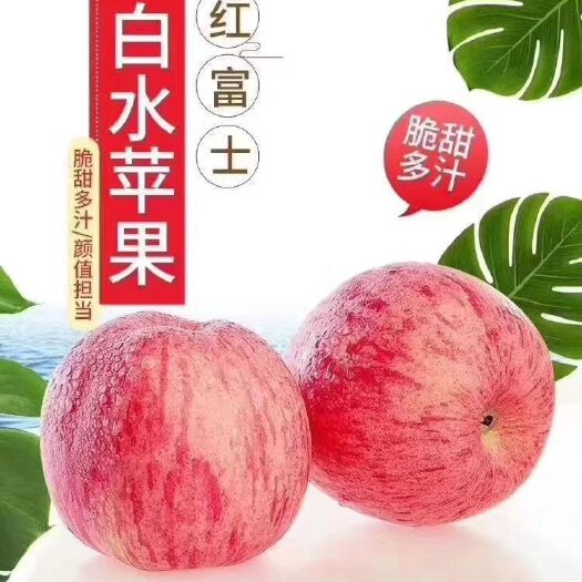 白水县 陕西省白水县优质有机苹果