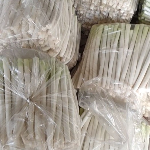 安丘市长白大葱  精品葱段