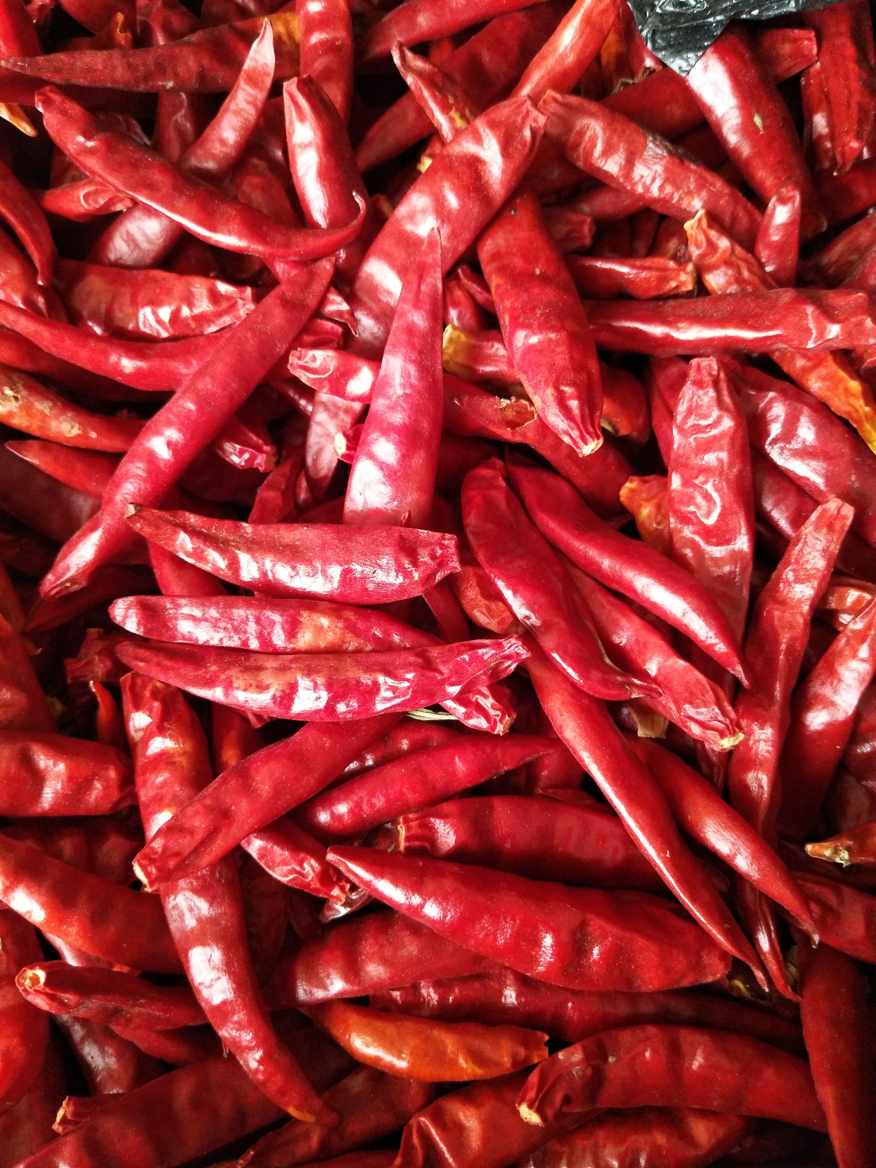 三樱干辣椒 餐饮企业 辣椒加工厂  小吃店 家常炒菜 辣椒面 辣椒油