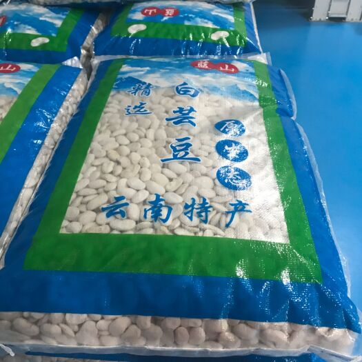 永平县云南白芸豆