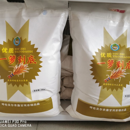 莫旗中筋面粉 中筋面粉
