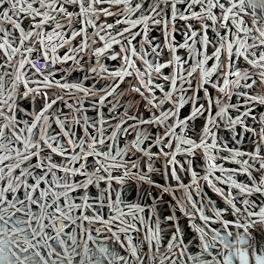 亳州黑牡丹 丹皮各种规格大货供应