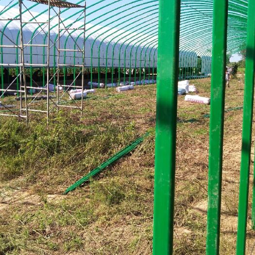 怀远县 温室养殖大棚热镀锌包塑椭圆管及配件