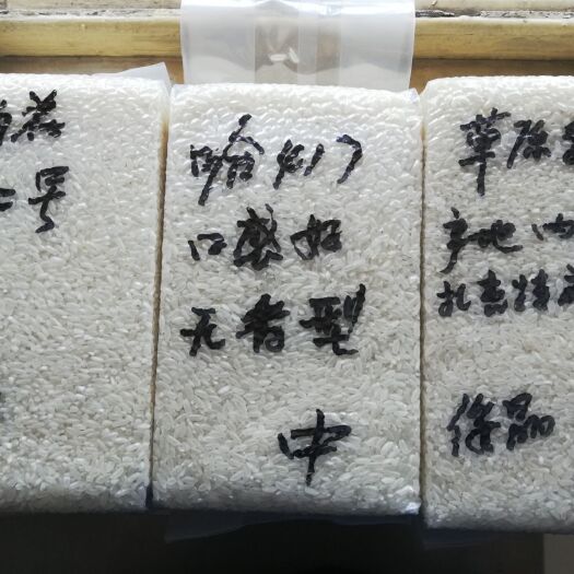 扎赉特旗绥粳18大米 一等品 晚稻 粳米