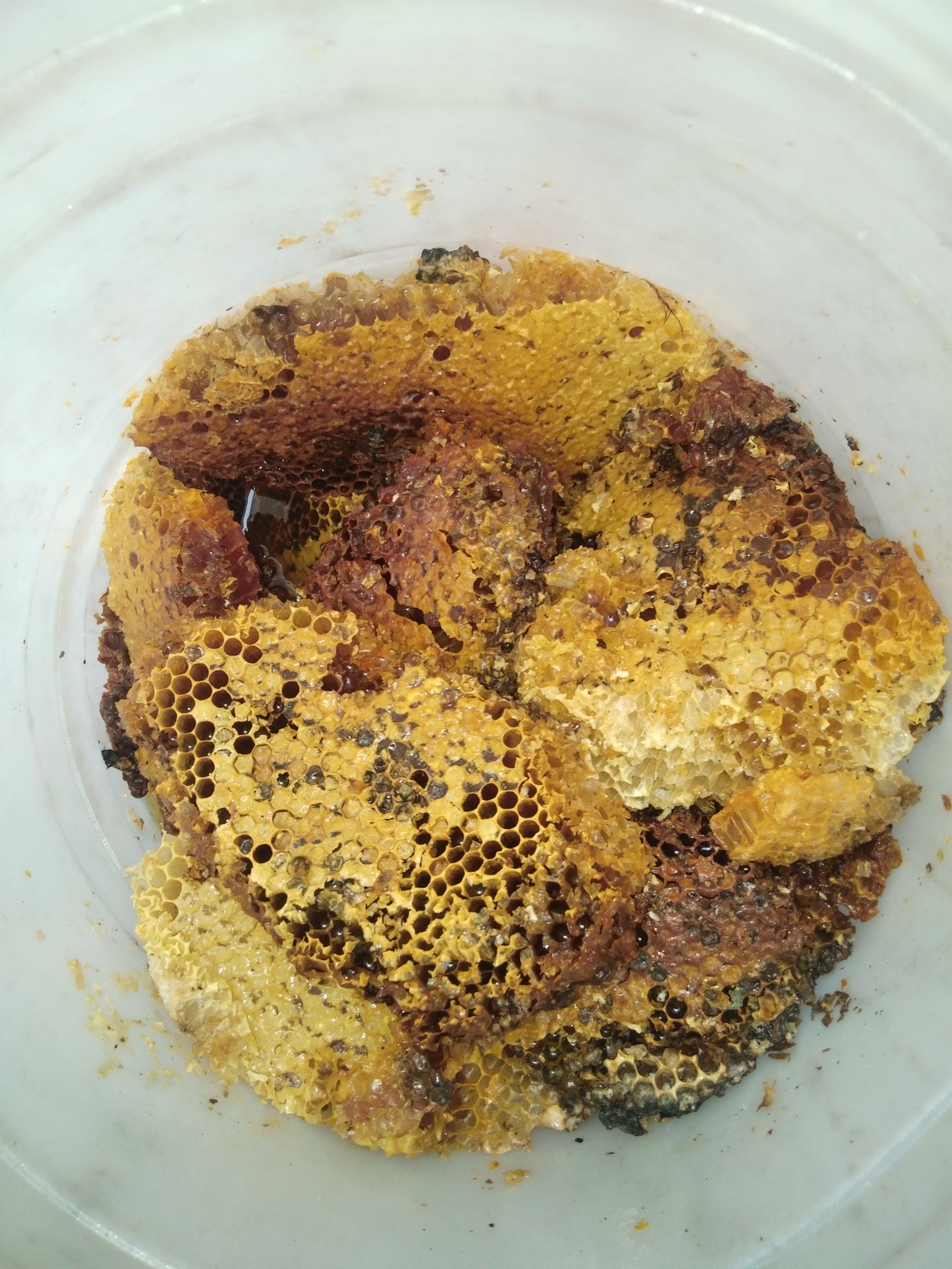 [野蜂蜜批发] 野生山蜂蜜价格180元/斤 