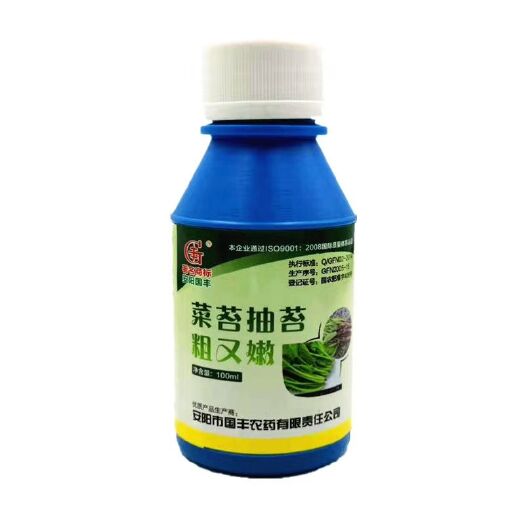 武汉红菜苔种子 红菜苔粗嫩长