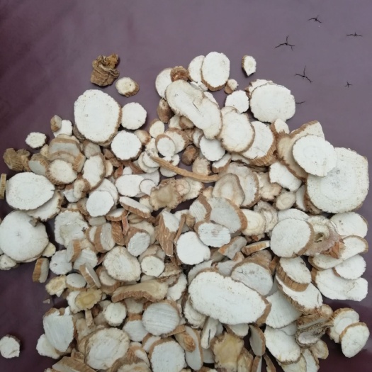 鄄城县亳州白芷 诚挚药品！诚挚做人！诚信做药