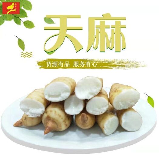 黎平县 鲜天麻