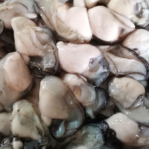 饶平县 牡蛎生蚝烧烤清蒸