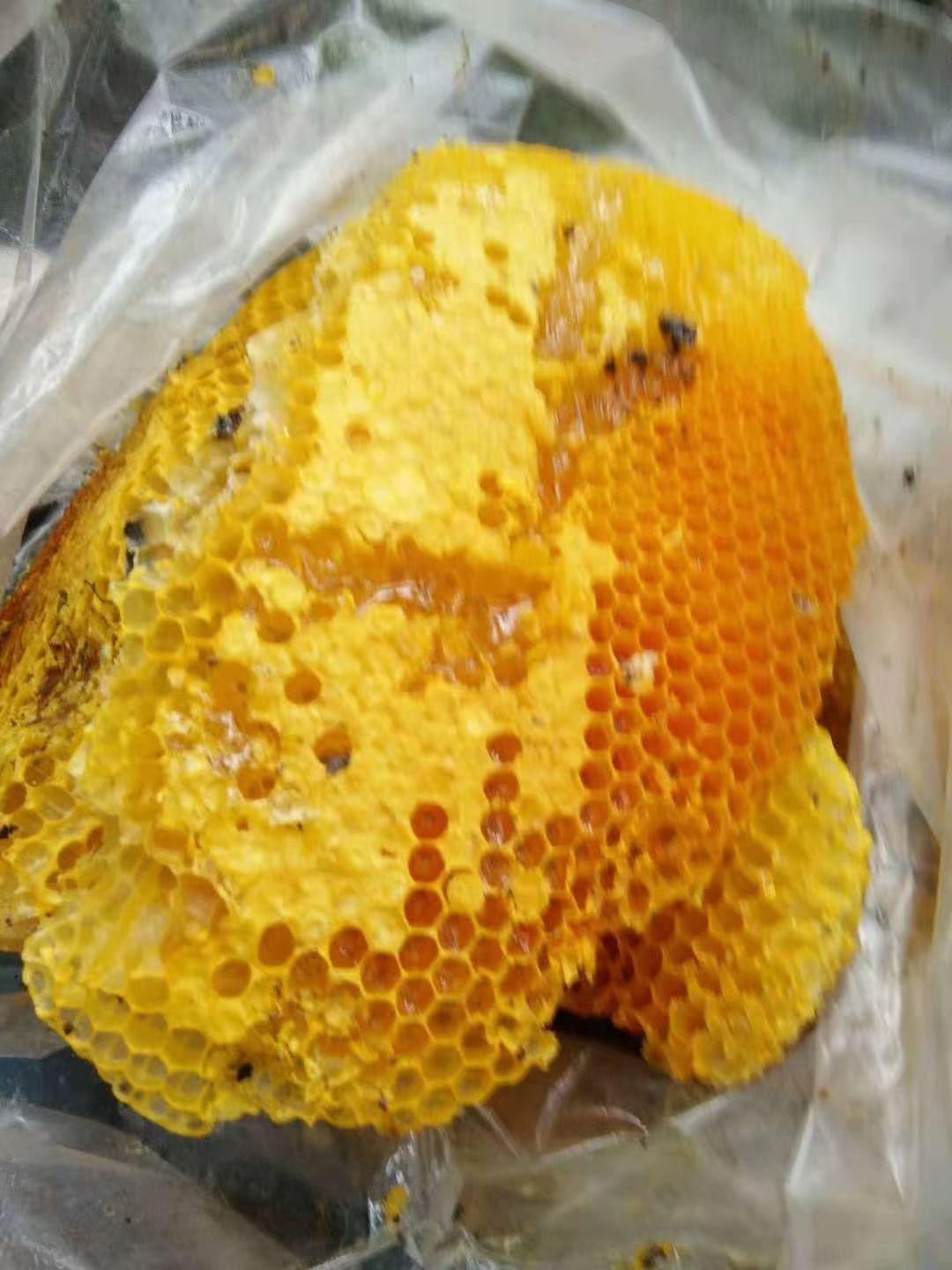  纯野生蜂蜜，石头缝里的蜂蜜