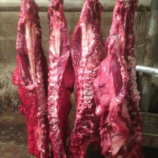 无为市 新鲜牛羊肉批发零售