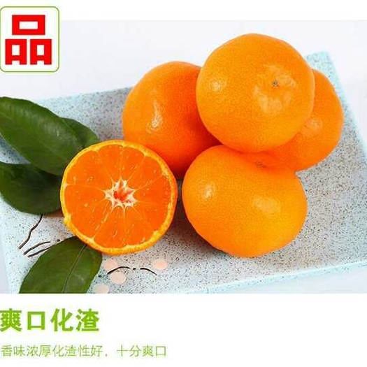 临海市涌泉蜜桔 5 - 5.5cm 2 - 3两