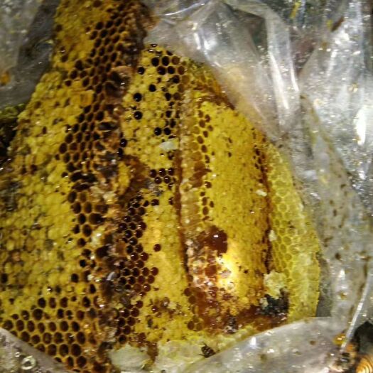 融安县 纯野生蜂蜜，石头缝里的蜂蜜