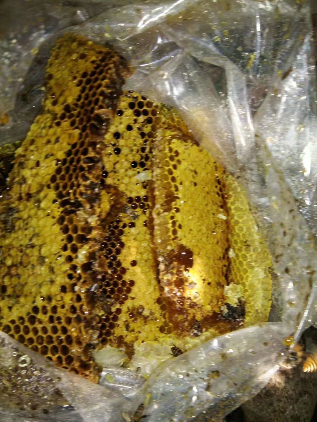  纯野生蜂蜜，石头缝里的蜂蜜