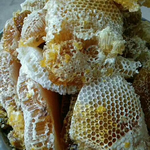 建水县 天然无污染润肺的好蜜当然贵但是敢保证是良心蜂蜜